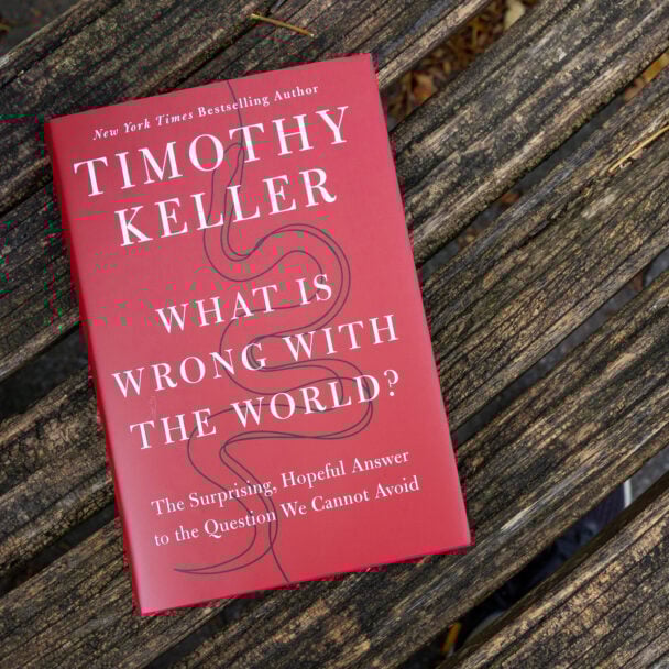 What Is Wrong with the World book