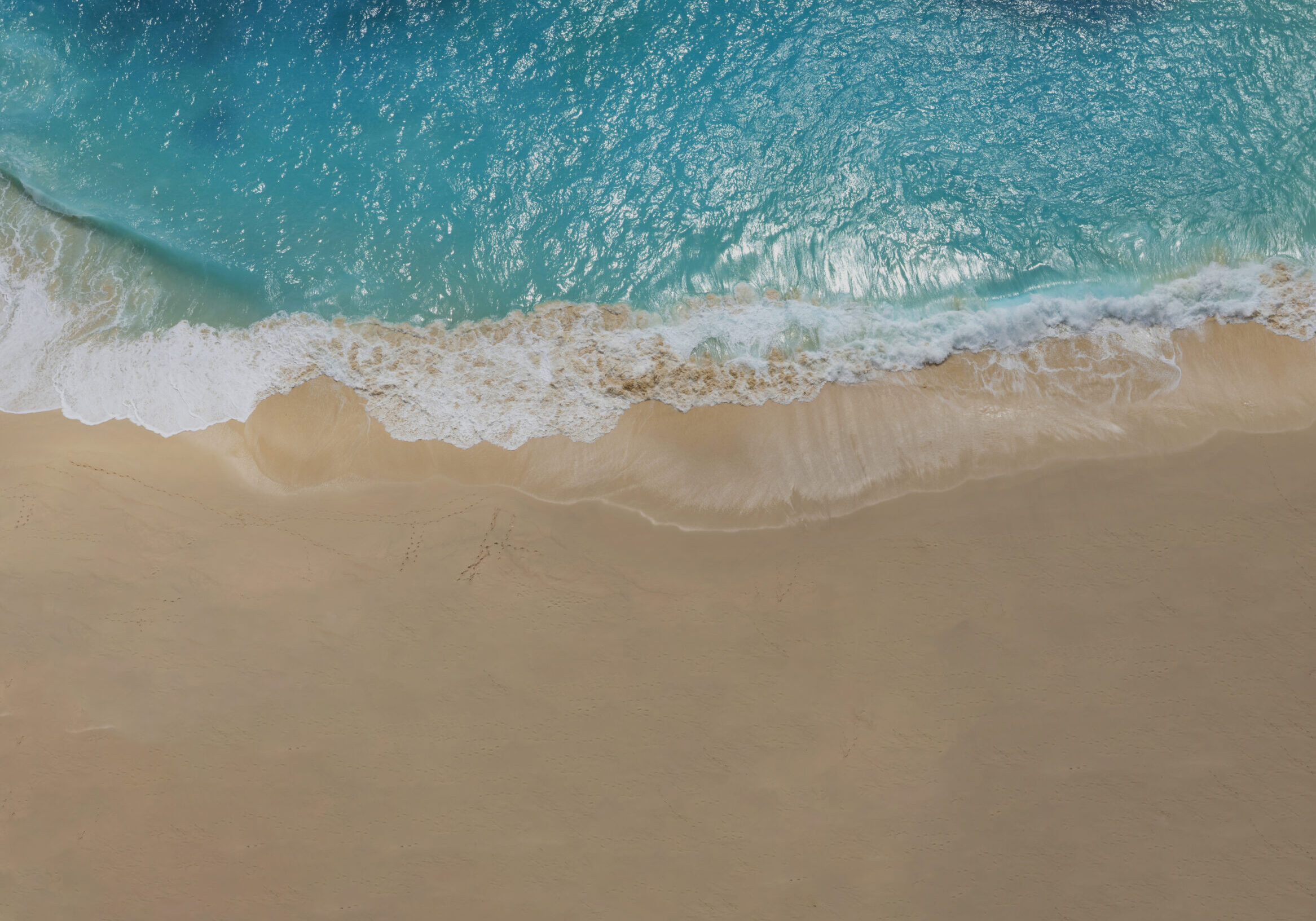 High angle view of sea, sand, and people at Kelingking Beach, Nusa Penida, Bali.